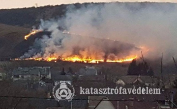 Órákon keresztül küzdöttek a tűzzel és a széllel az esztergomi tűzoltók