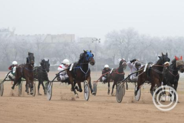 Ismét Ügetőszilveszter a Kincsem Parkban