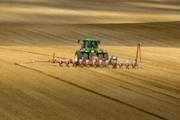 Közmunka a földeken is