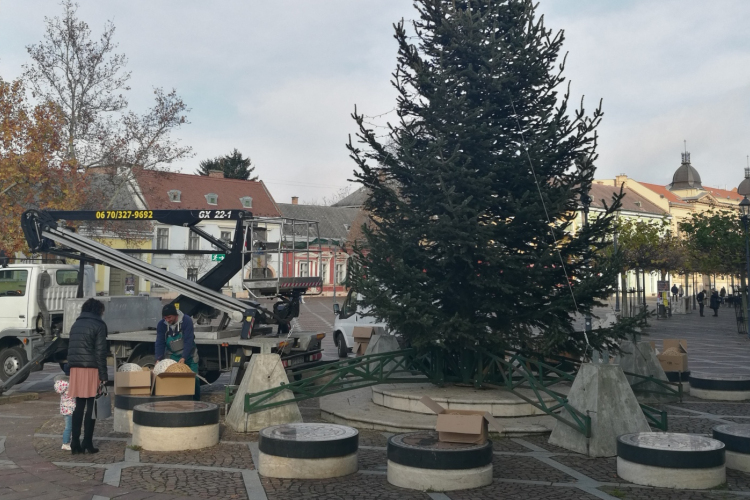 Már díszítik Esztergom karácsonyfáját