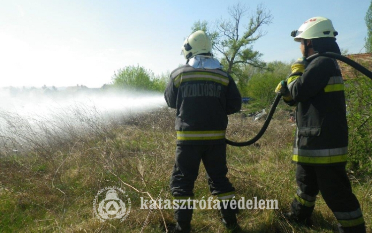 Szemét és gaz kapott lángra Kertvárosban - FOTÓK