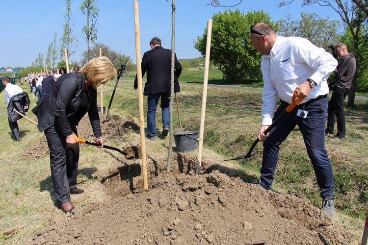 Rekordállítás faültetéssel Esztergomban