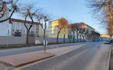 Metszik a Kossuth Lajos utcai ostorfákat