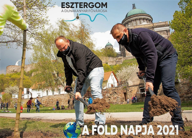 Vadgesztenyefákat ültetett Esztergom polgármestere és alpolgármestere a Föld napján