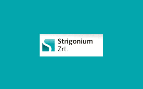 Strigonium Zrt - Vezérigazgatói beszámoló 2014. február 1. – 28.