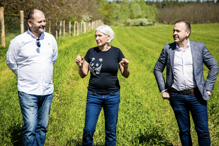 Amikor a mesterséges intelligencia segít a klímavédelemben Kate segítségével visszatér az élet a cecei erdőbe